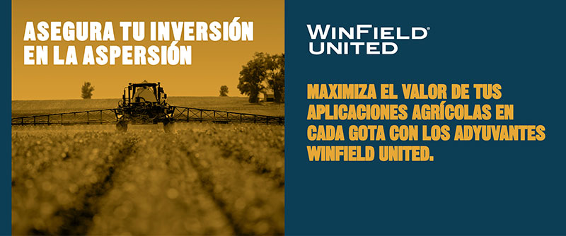 Cartelera_Winfield_United